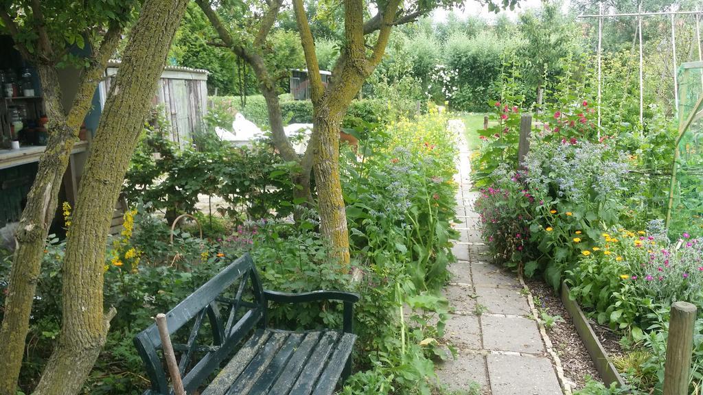 De Kluiskaemer In De Olde Banck Stavoren Exterior foto